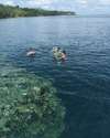 Jean-Michel Cousteau Fiji Islands Resort 